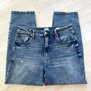 Articles of Society The Smith High Rise‎ Relaxed Jeans | Deep Lake Size 14